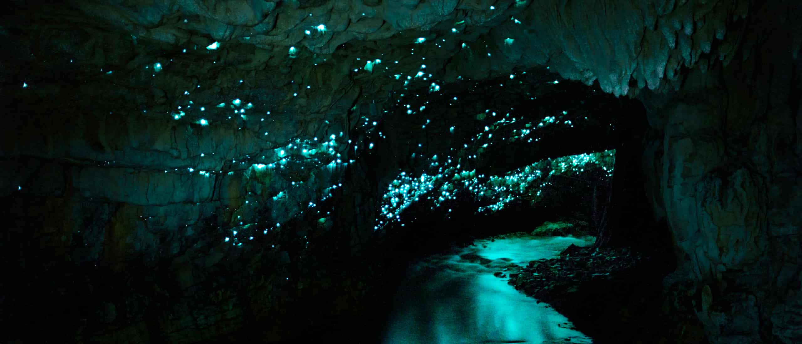 https://www.adventuresbydisney.com/content/dam/abd/destinations/asia-pacific/new-zealand-vacations/glow-worm-caves-7x3.jpg