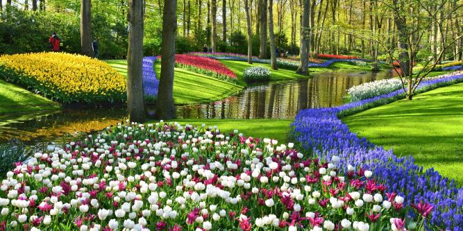 Holland & Belgium: Tulip Season River Cruise | Adventures by Disney